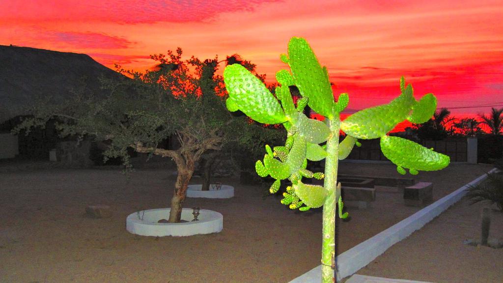 Palapas La Choya Villa La Ventana Dış mekan fotoğraf